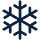 Snow Goggles